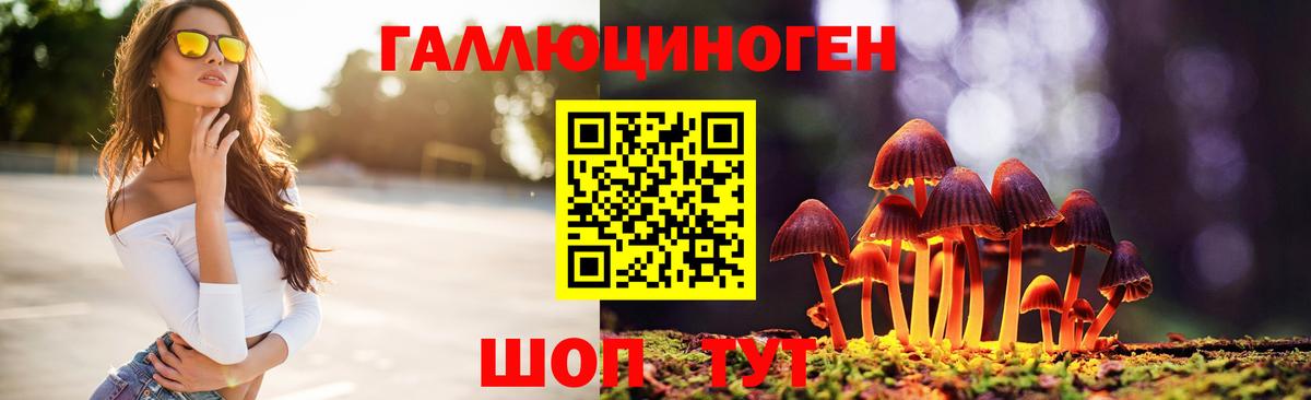 Галлюциногенные грибы Cubensis  Вход с VPN  Севастополь 